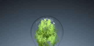 RE 2020 : tout savoir sur la nouvelle réglementation thermique