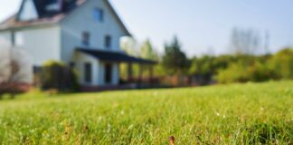 Vivre en ville ou à la campagne : les Français ont choisi