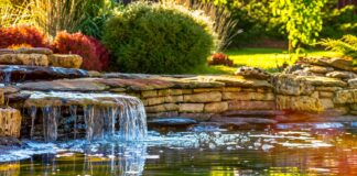 Comment construire une piscine naturelle dans son jardin ?