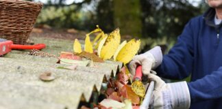 Entretenir sa maison : à quel rythme faut-il… ?